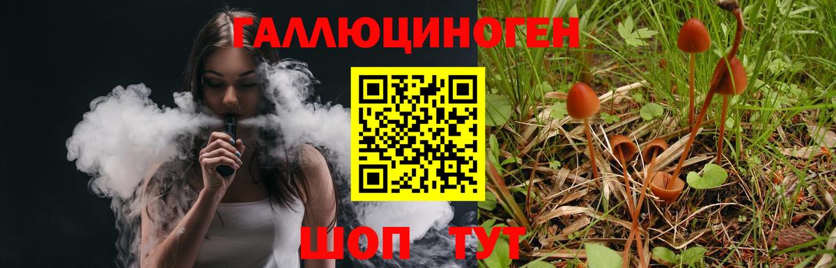 Псилоцибиновые грибы Psilocybine cubensis Шатура