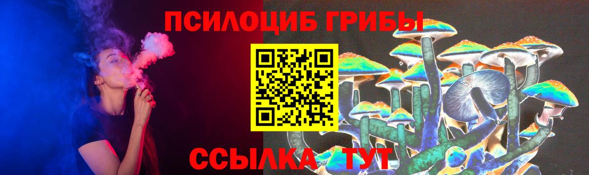 Шатура  Галлюциногенные грибы MAGIC MUSHROOMS  хочу наркоту  Вход с VPN 